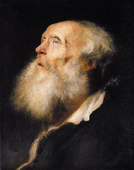 Jan lievens Study of an Old Man china oil painting image